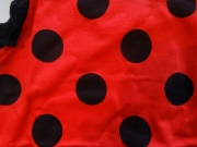 Lady Bug 2