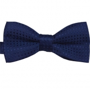 Bow Tie 2