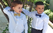Bow Tie 7