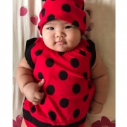 Lady Bug 3